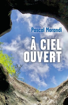 Cover of the book À ciel ouvert