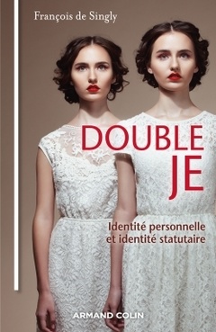 Couverture de l’ouvrage Double Je - Identité personnelle et identité statutaire