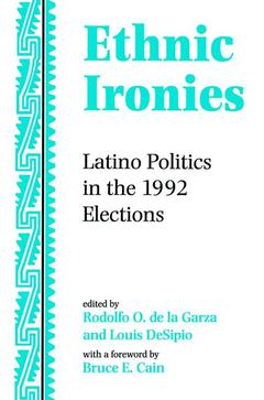Cover of the book Ethnic Ironies