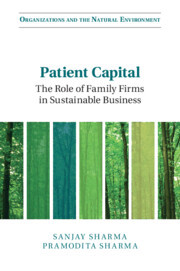 Cover of the book Patient Capital