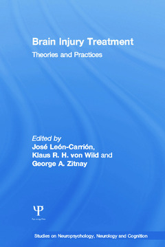 Couverture de l’ouvrage Brain Injury Treatment