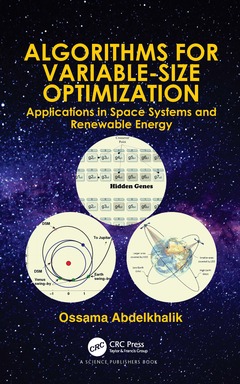 Couverture de l’ouvrage Algorithms for Variable-Size Optimization