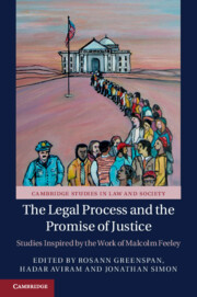 Couverture de l’ouvrage The Legal Process and the Promise of Justice