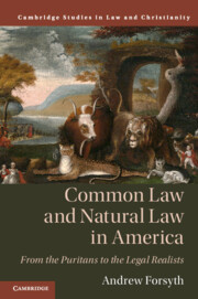 Couverture de l’ouvrage Common Law and Natural Law in America