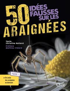 Cover of the book 50 idées fausses sur les araignées