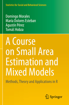Couverture de l’ouvrage A Course on Small Area Estimation and Mixed Models