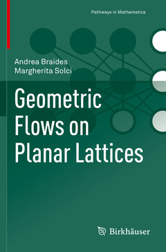Couverture de l’ouvrage Geometric Flows on Planar Lattices