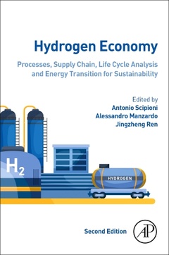 Couverture de l’ouvrage Hydrogen Economy
