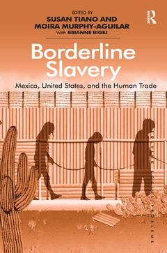 Cover of the book Borderline Slavery