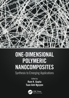 Couverture de l’ouvrage One-Dimensional Polymeric Nanocomposites