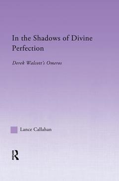 Couverture de l’ouvrage In the Shadows of Divine Perfection