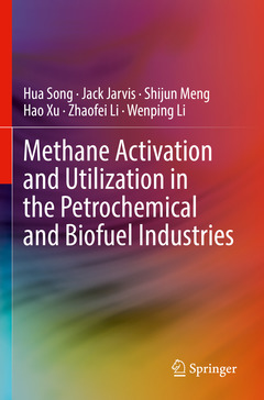 Couverture de l’ouvrage Methane Activation and Utilization in the Petrochemical and Biofuel Industries