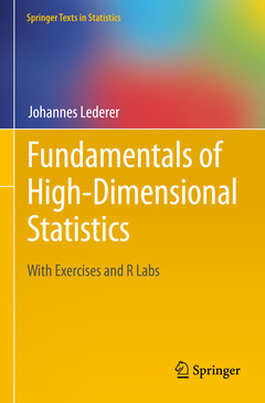 Couverture de l’ouvrage Fundamentals of High-Dimensional Statistics
