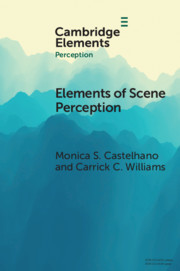 Couverture de l’ouvrage Elements of Scene Perception