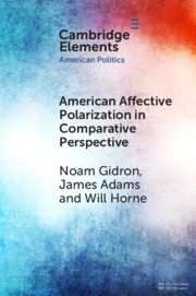 Couverture de l’ouvrage American Affective Polarization in Comparative Perspective