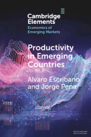 Cover of the book Productivity in Emerging Countries