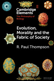 Couverture de l’ouvrage Evolution, Morality and the Fabric of Society