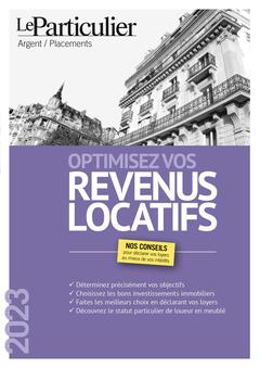 Cover of the book Optimisez vos revenus locatifs