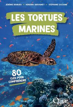 Couverture de l’ouvrage Les tortues marines