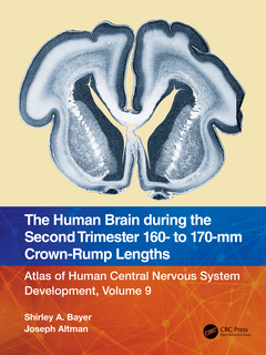 Couverture de l’ouvrage The Human Brain during the Second Trimester 160– to 170–mm Crown-Rump Lengths