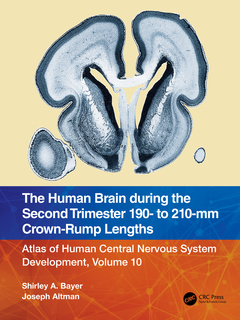 Couverture de l’ouvrage The Human Brain during the Second Trimester 190– to 210–mm Crown-Rump Lengths