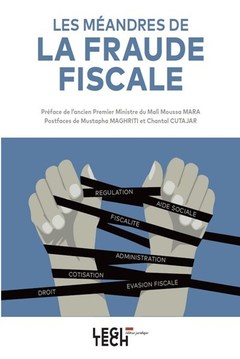 Couverture de l’ouvrage Les méandres de la fraude fiscale