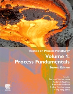 Couverture de l’ouvrage Treatise on Process Metallurgy