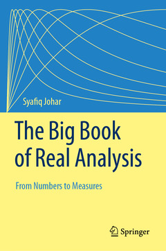 Couverture de l’ouvrage The Big Book of Real Analysis