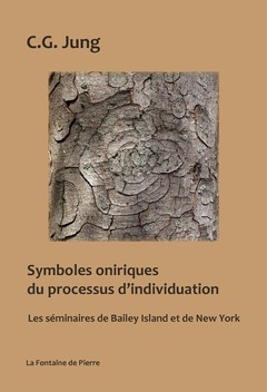 Couverture de l’ouvrage Symboles oniriques du processus d'individuation - Les séminaires de Bailey Island et de New-York