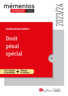 Cover of the book Droit pénal spécial