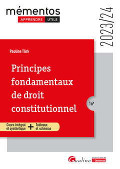 Cover of the book Principes fondamentaux de droit constitutionnel