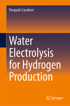 Couverture de l’ouvrage Water Electrolysis for Hydrogen Production