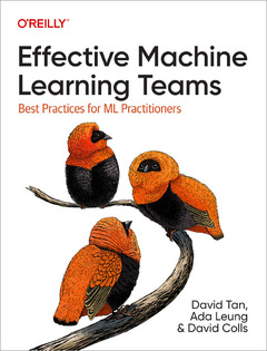 Couverture de l’ouvrage Effective Machine Learning Teams