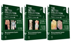 Couverture de l’ouvrage The Netter Collection of Medical Illustrations: Musculoskeletal System Package