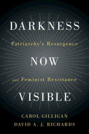 Cover of the book Darkness Now Visible