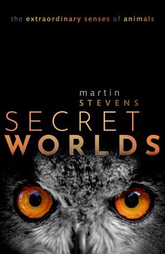 Couverture de l’ouvrage Secret Worlds