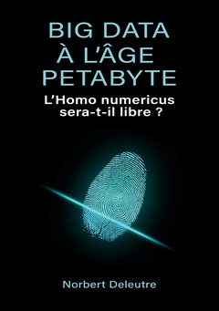Cover of the book Big data à l'âge Petabyte