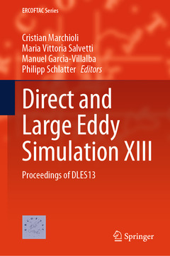 Couverture de l’ouvrage Direct and Large Eddy Simulation XIII