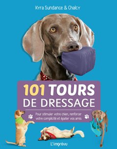 Cover of the book 101 tours de dressage