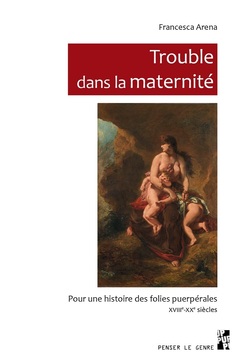 Cover of the book Trouble dans la maternité