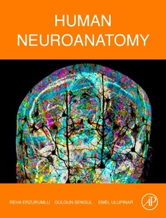Couverture de l’ouvrage Human Neuroanatomy