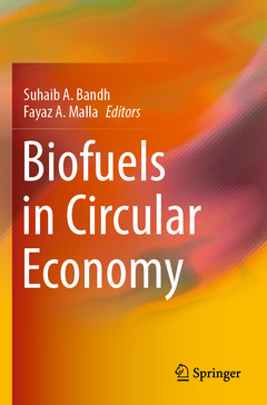 Couverture de l’ouvrage Biofuels in Circular Economy