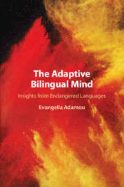 Couverture de l’ouvrage The Adaptive Bilingual Mind