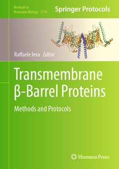Couverture de l’ouvrage Transmembrane β-Barrel Proteins