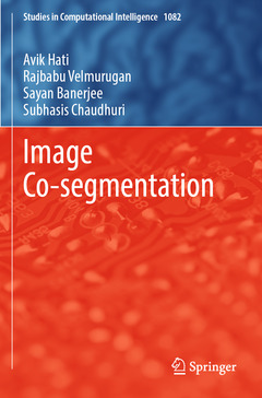 Couverture de l’ouvrage Image Co-segmentation
