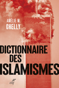Cover of the book DICTIONNAIRE DES ISLAMISMES