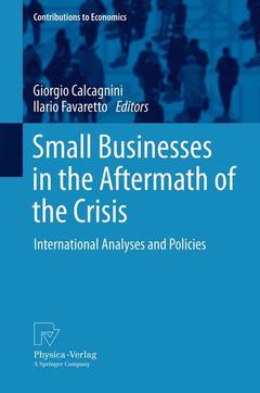 Couverture de l’ouvrage Small Businesses in the Aftermath of the Crisis