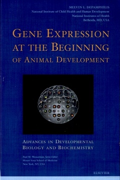 Cover of the book Gene Expression at the Beginning of Animal Development