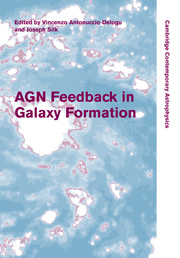 Cover of the book AGN Feedback in Galaxy Formation