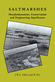 Cover of the book Saltmarshes